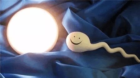 胚胎学家
